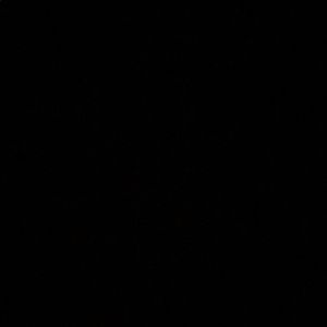 Meet your Posher, Nastasia